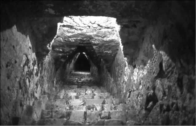How a sarcophagus in a Mayan temple depicts the Tree of Life, the veil, and the resurrection - AMZ Newspaper