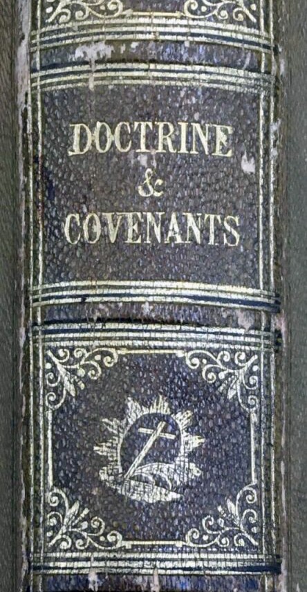 IMG_5995-scaled edit.jpg