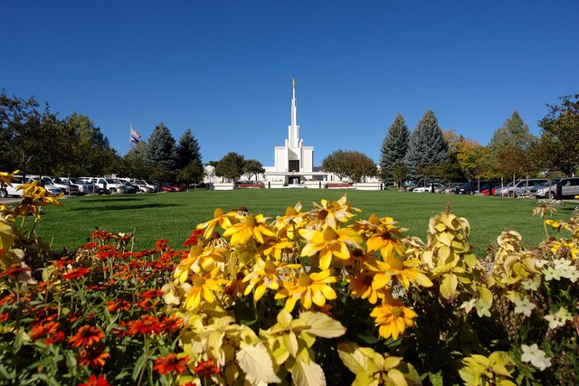 50 Breathtaking Photos of Temple Gardens