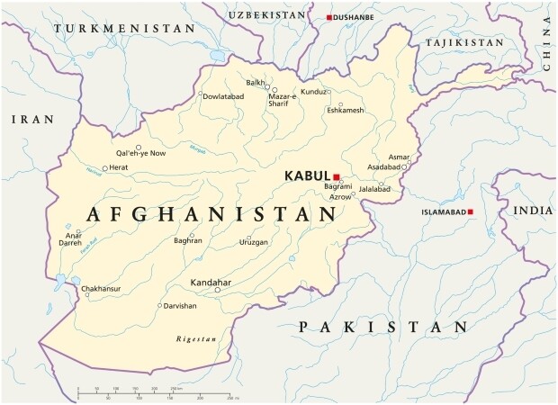 62010.jpg