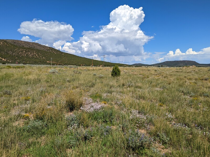 Memorial to dead women and children at the Mountain Meadows Massacre site near Central Utah on the National Register of Historic Places.