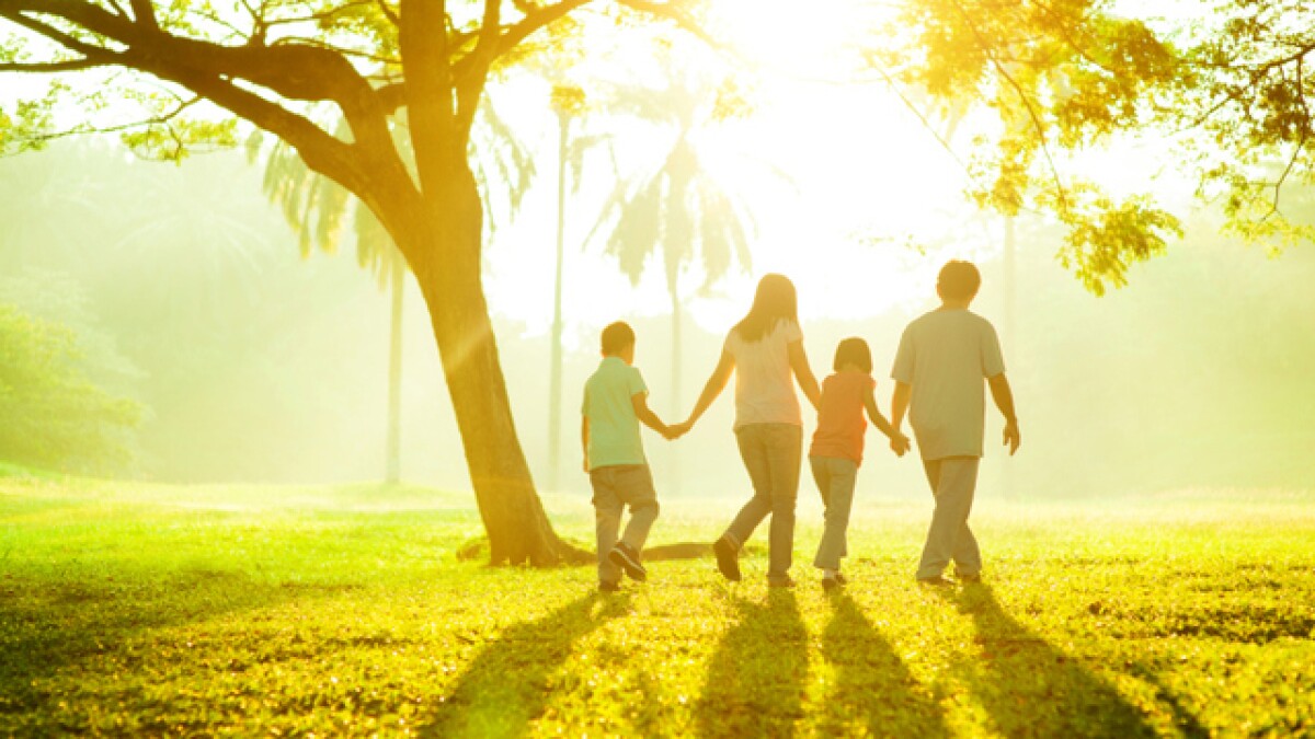 D C Lesson 45 The Family Is Ordained Of God Lds Living