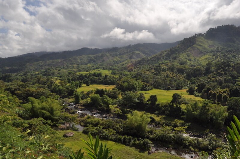 While visiting her dream destination of Madagascar, Elizabeth wanted to accomplish three things. One of these things was to participate in a seven-day hike through remote rainforests (image courtesy Elizabeth Hamilton).