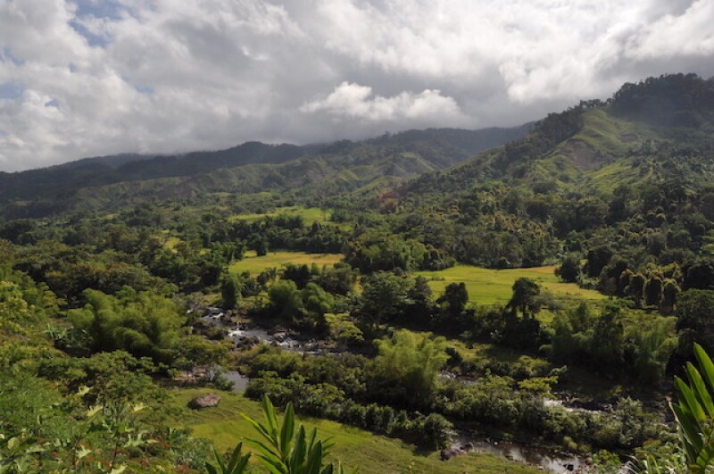 While visiting her dream destination of Madagascar, Elizabeth wanted to accomplish three things. One of these things was to participate in a seven-day hike through remote rainforests (image courtesy Elizabeth Hamilton). 

