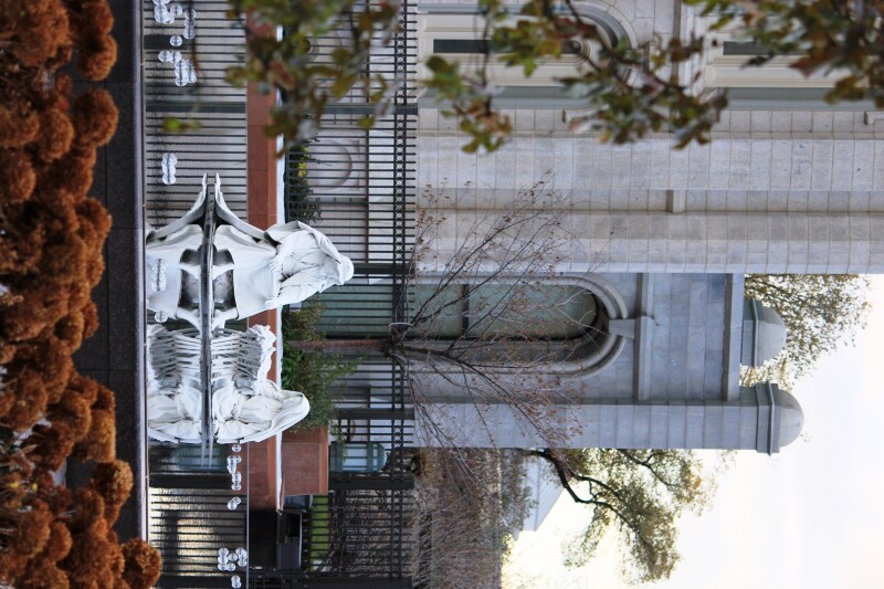 Temple Square Nativities