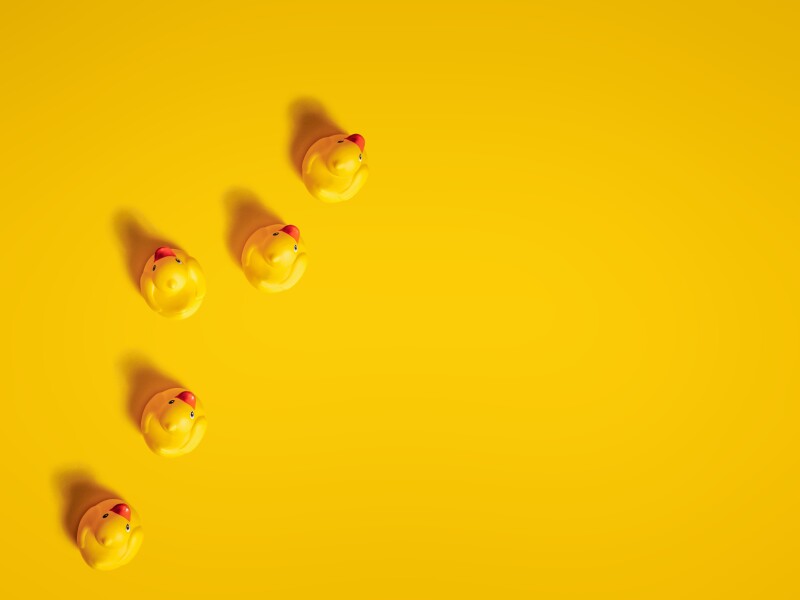 ducks-in-a-row.jpeg