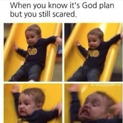 46818.jpg
