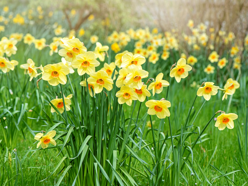 Screenshot (874).png