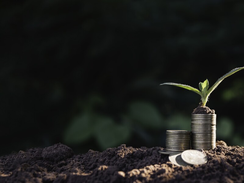 The pile of coins is placed on the soil and a plant grows on top in nature background.