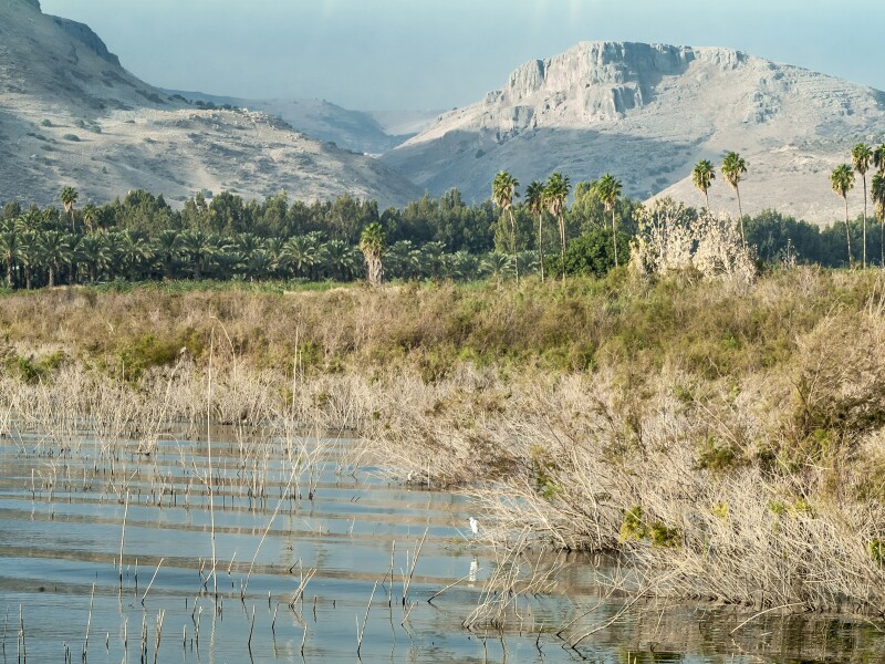 Israel, west shore of Sea of Galilee