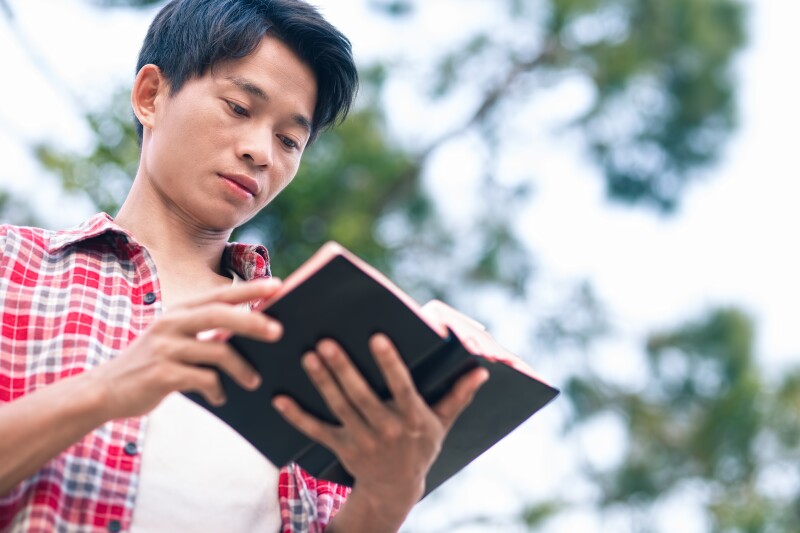 Man,Holding,And,Reading,The,Scriptures,With,A,Green,Tree