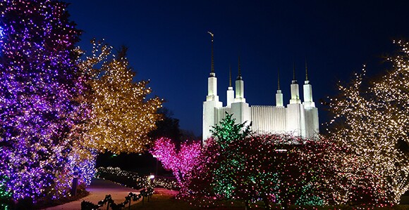 Photo Gallery: Temple Christmas Light Displays Around the World