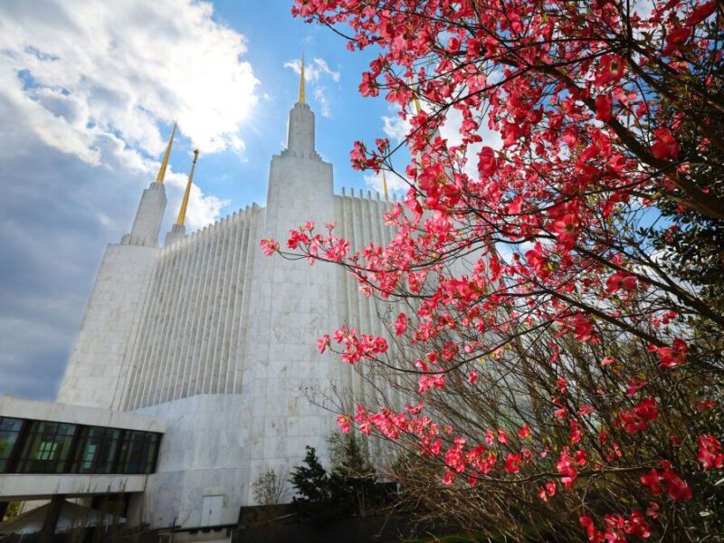 Washington DC temple.jpeg