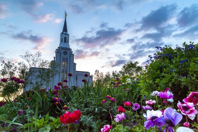 50 Breathtaking Photos of Temple Gardens