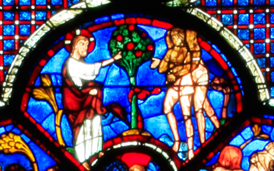 Adam and Eve as depicted in the Chartres Cathedral stained glass windows