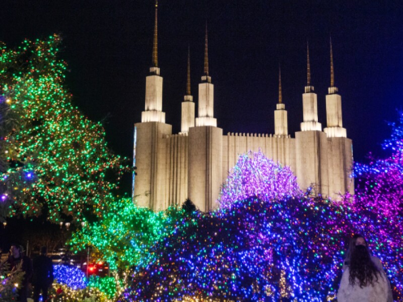 Temple-Lights.Chn-_BN_41.jpg