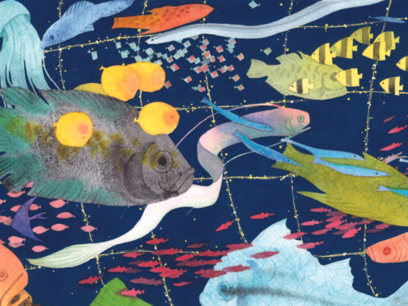 Colorful fish swim in the sea.