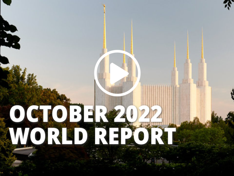 world report.png