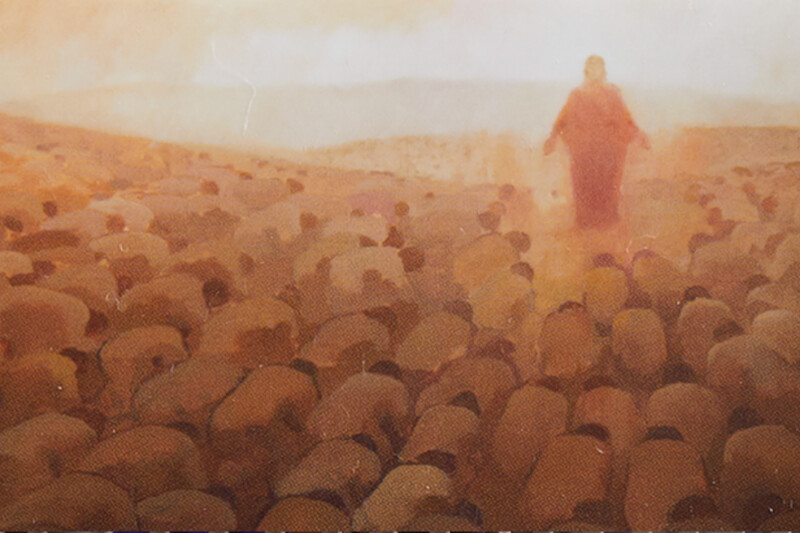 A large group of people kneel around the Savior Jesus Christ during His Second Coming.