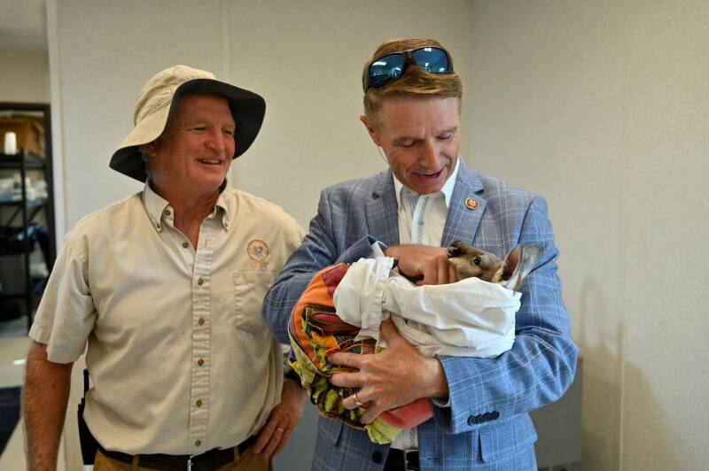 US Congressman Rob Wittman holds a baby kangaroo, while Jim Andelin looks on.