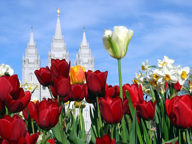 50 Breathtaking Photos of Temple Gardens