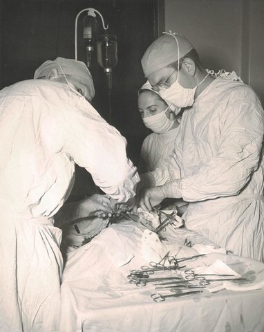 Dr. Russell M. Nelson and colleagues operating on a dog.