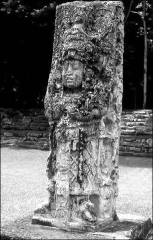 How a sarcophagus in a Mayan temple depicts the Tree of Life, the veil, and the resurrection - AMZ Newspaper