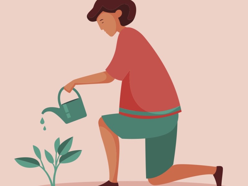 plant_seeds.jpg
