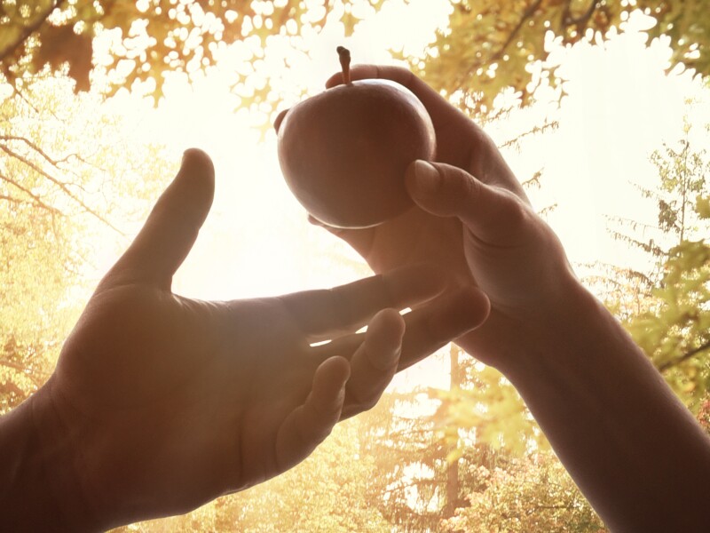 A,Woman's,Hand,Is,Holding,The,Forbidden,Fruit,Of,An