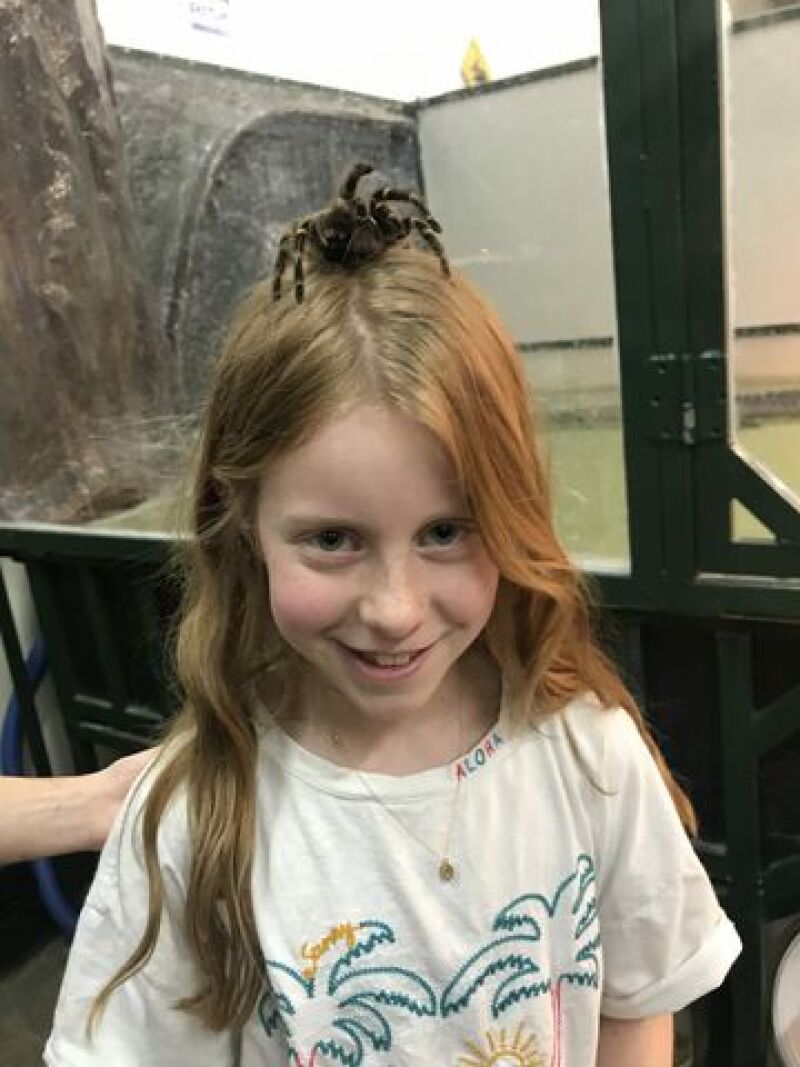 Passing his love of spiders on to his daughter.