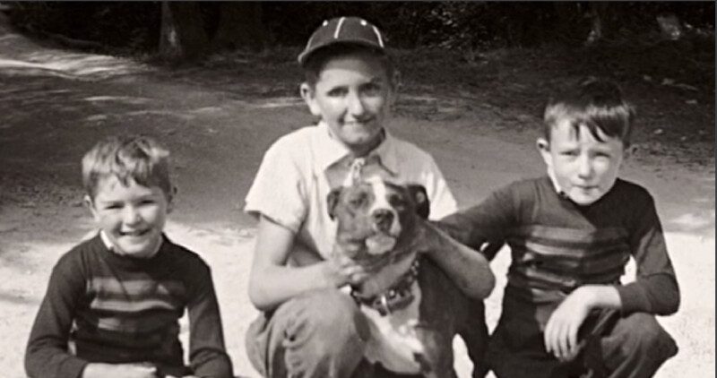 monson dog.png