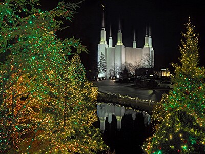 Photo Gallery: Temple Christmas Light Displays Around the World