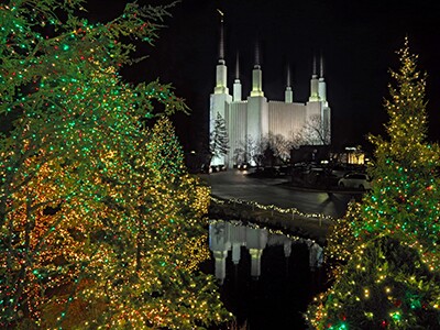 Photo Gallery: Temple Christmas Light Displays Around the World