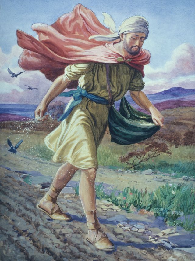 man_sowing_field_soper.jpg