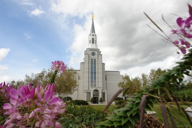 50 Breathtaking Photos of Temple Gardens