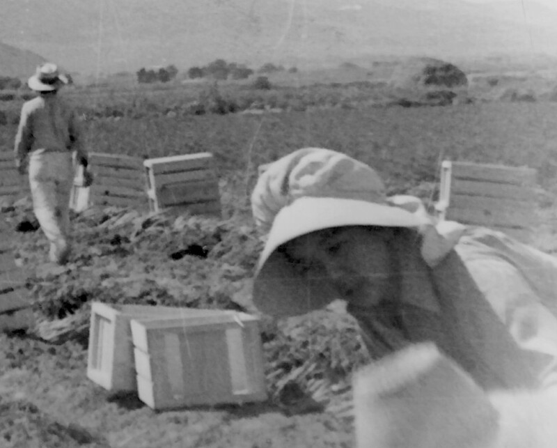 At a Pioneer Day celebration, Bessie admired the practical hats. She made copies and wore them as she worked on the farm..jpg
