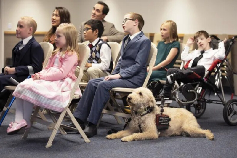 Primary children sing while a service animal sits on the floor.