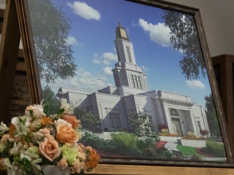 _MG_8441-(1).jpg