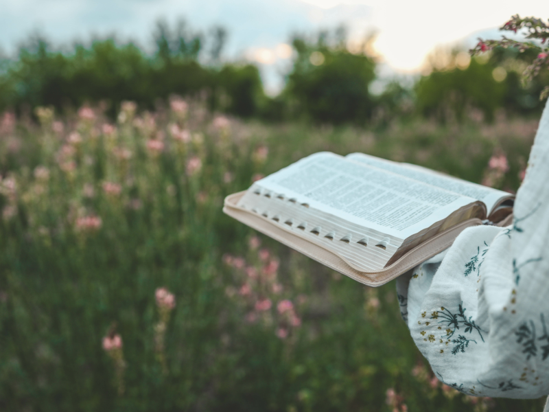 A close-up of female hands holding a Bible in a field of flowers