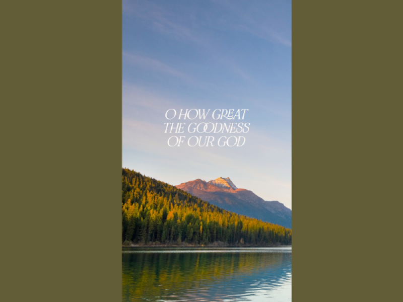 Untitled design (17).png