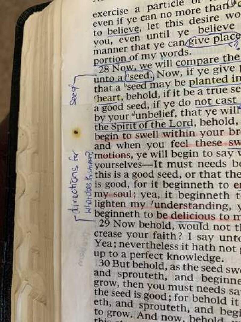 Poppyseed taped into Tammy's scriptures