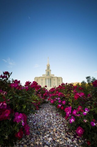 50 Breathtaking Photos of Temple Gardens