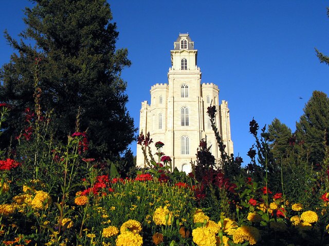 50 Breathtaking Photos of Temple Gardens