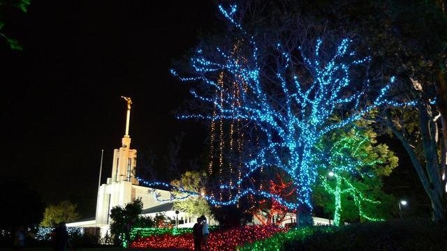 33595.jpg