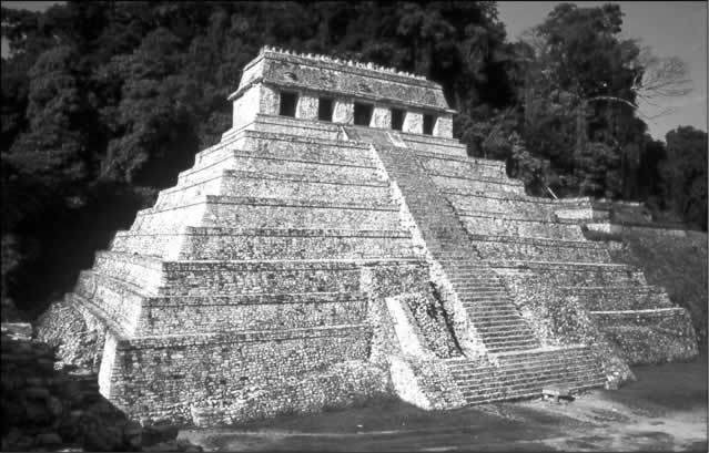 How a sarcophagus in a Mayan temple depicts the Tree of Life, the veil, and the resurrection - AMZ Newspaper