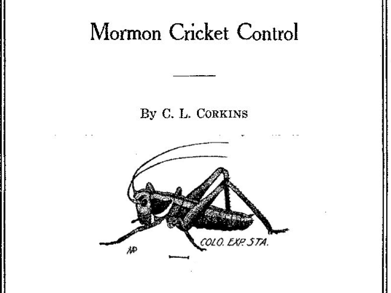 Mormon cricket control.png