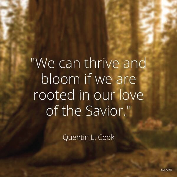 "We can thrive and bloom if we are rooted in our love of the Savior." -Quentin L. Cook