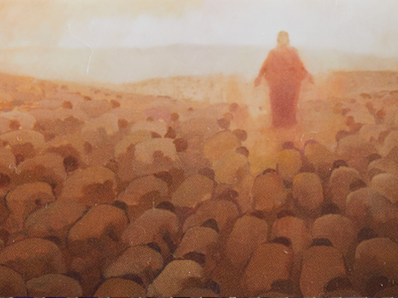 A large group of people kneel around the Savior Jesus Christ during His Second Coming.