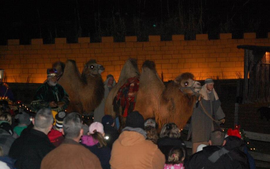 Miracle of Christmas