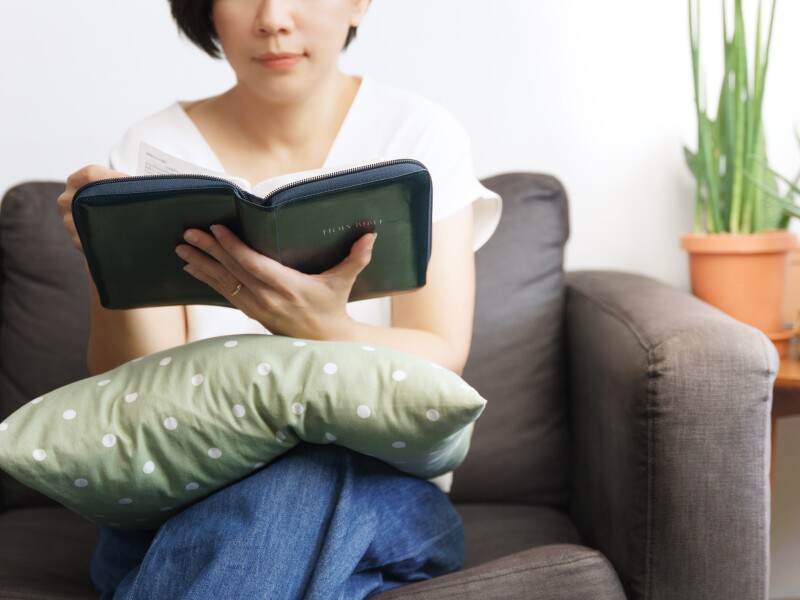 A,Beautiful,Asian,Woman,Sitting,Alone,On,A,Couch,Reading
